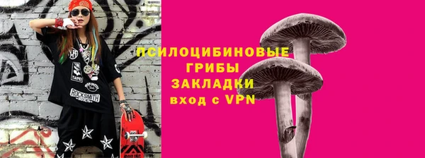 метадон Ельня