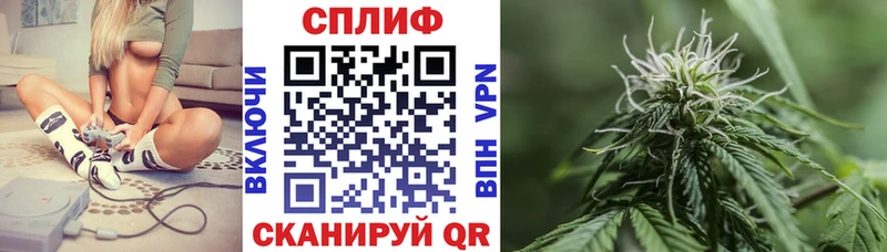 закладки  Хотьково  Канабис конопля 